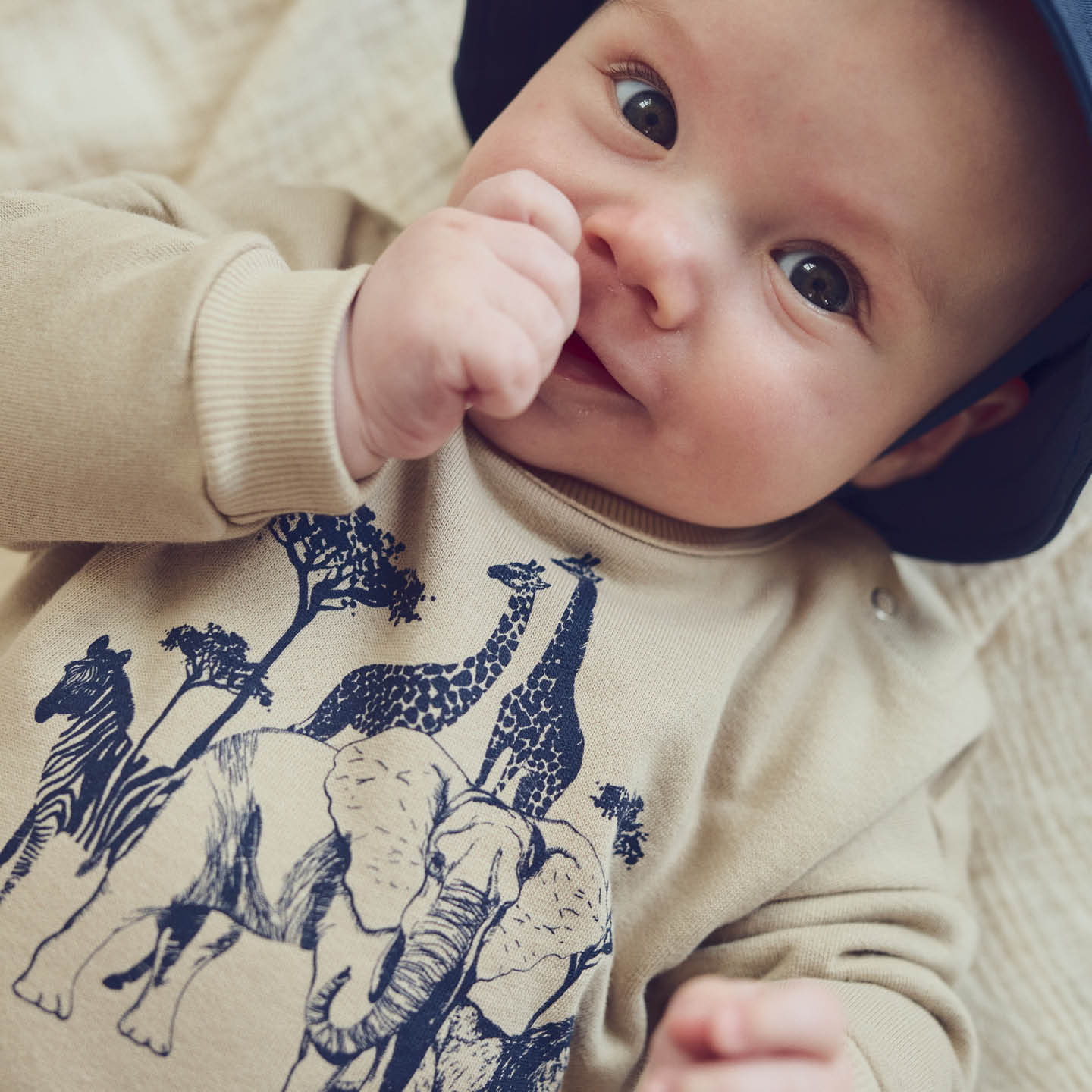 Müsli Safari Sweatshirt baby