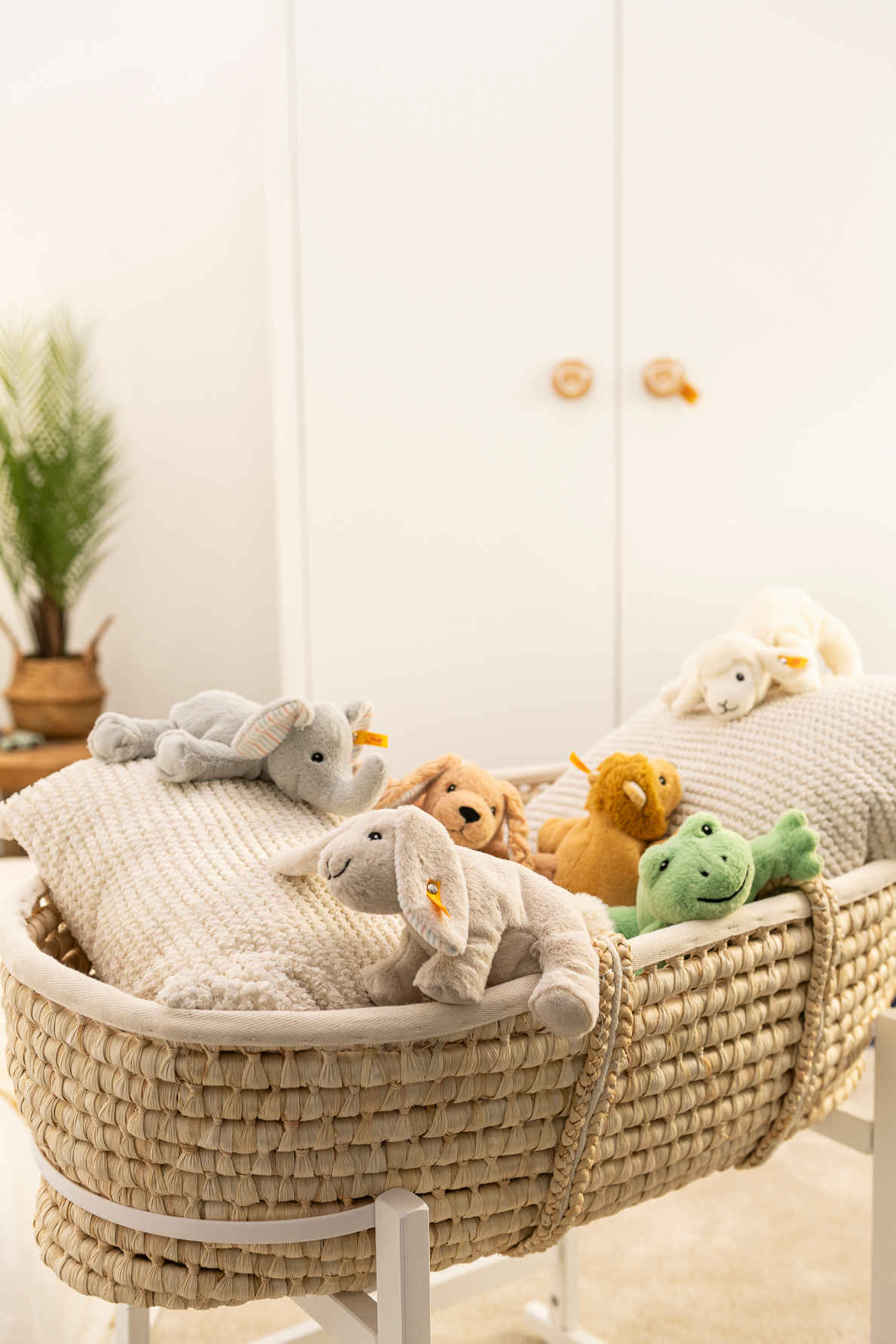 Steiff Floppy Cappy Frosch